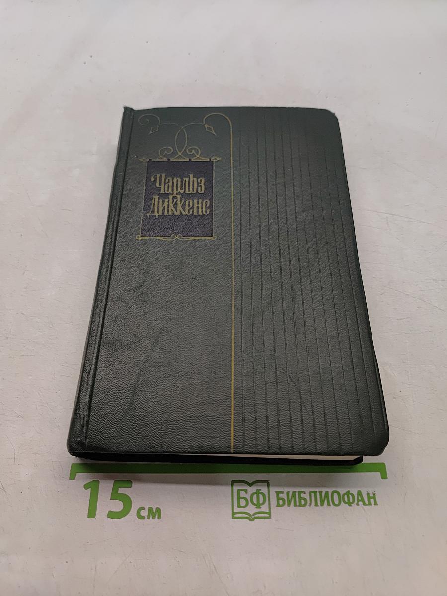 Собрание сочинений. Том двадцать пятый. Наш общий друг. Книга третья и четвертая