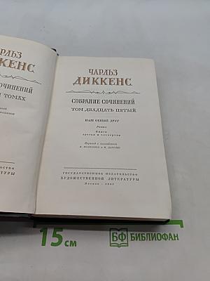 Собрание сочинений. Том двадцать пятый. Наш общий друг. Книга третья и четвертая
