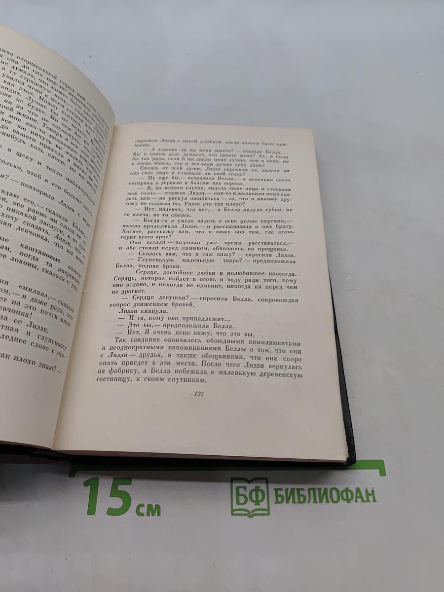 Собрание сочинений. Том двадцать пятый. Наш общий друг. Книга третья и четвертая