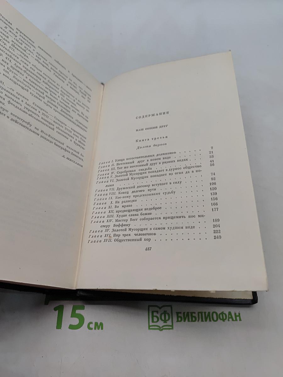 Собрание сочинений. Том двадцать пятый. Наш общий друг. Книга третья и четвертая