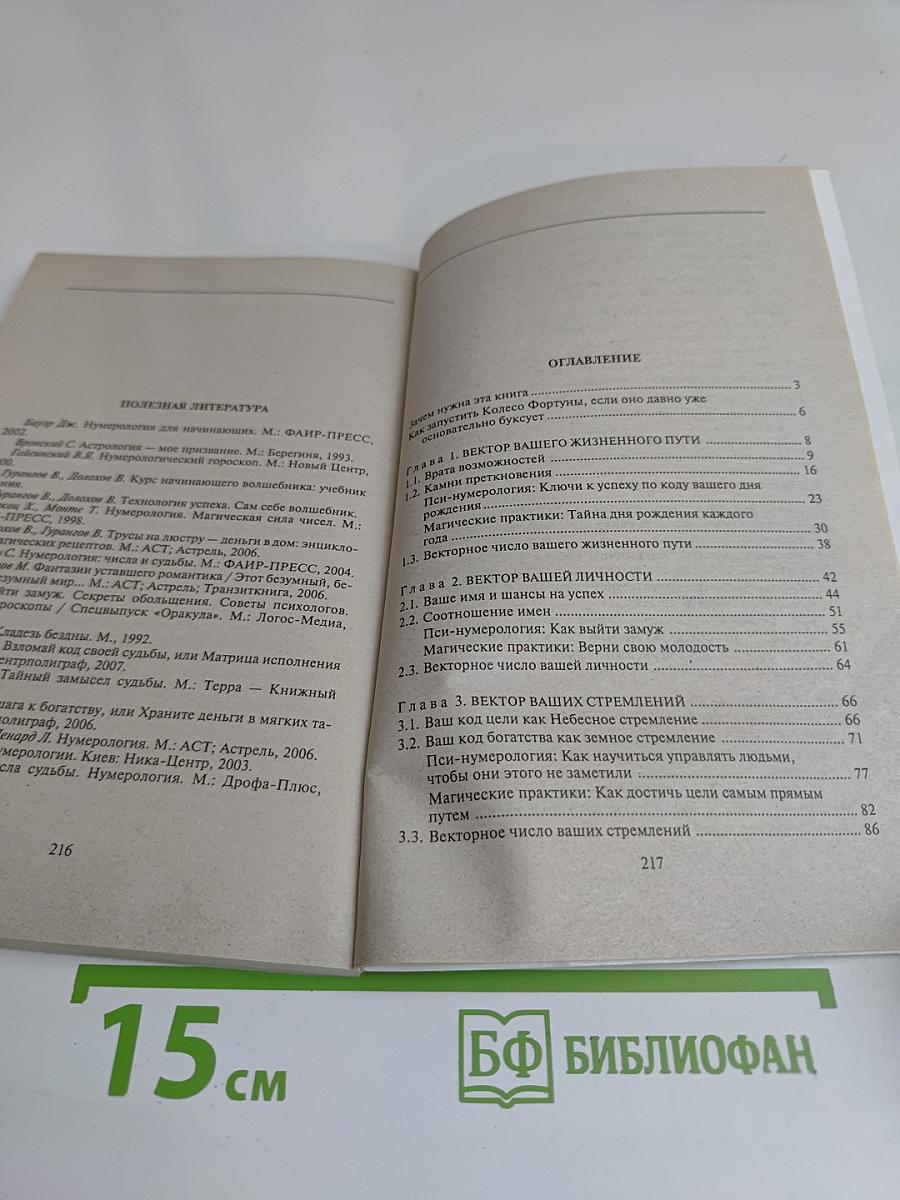 Нумерология успеха. Запусти колесо фортуны