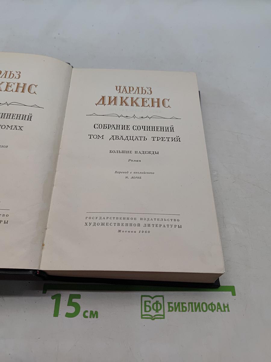 Собрание сочинений. Том двадцатый третий. Большие надежды
