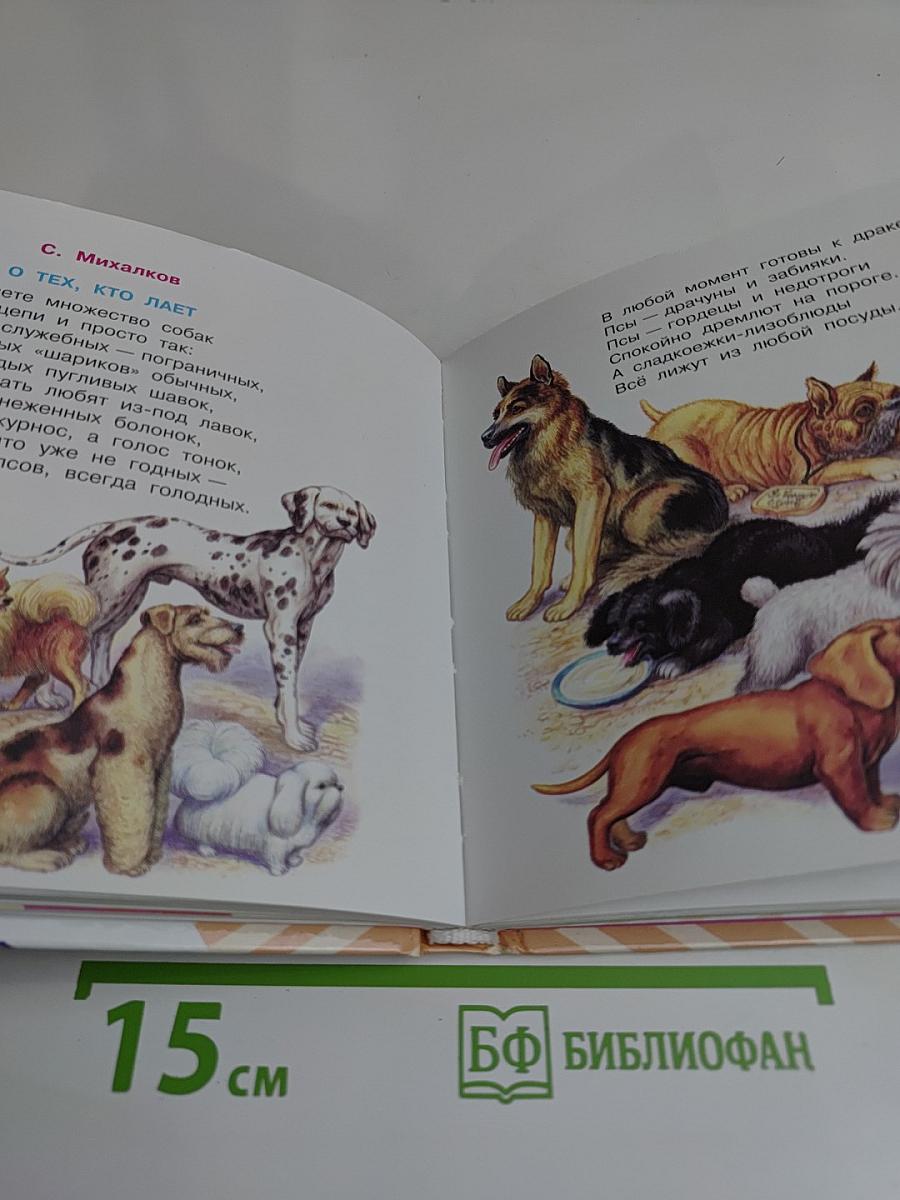 Стихи для первоклассника