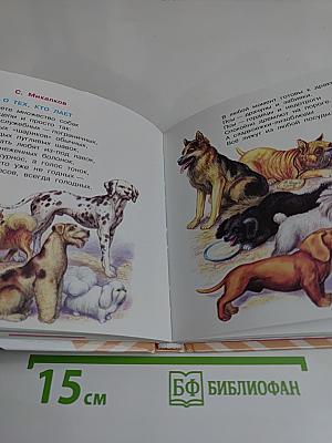 Стихи для первоклассника
