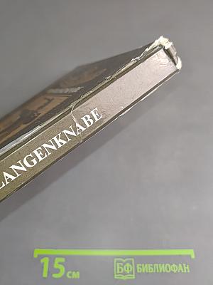 Der Schlangenknabe. Georgische Volksmärchen