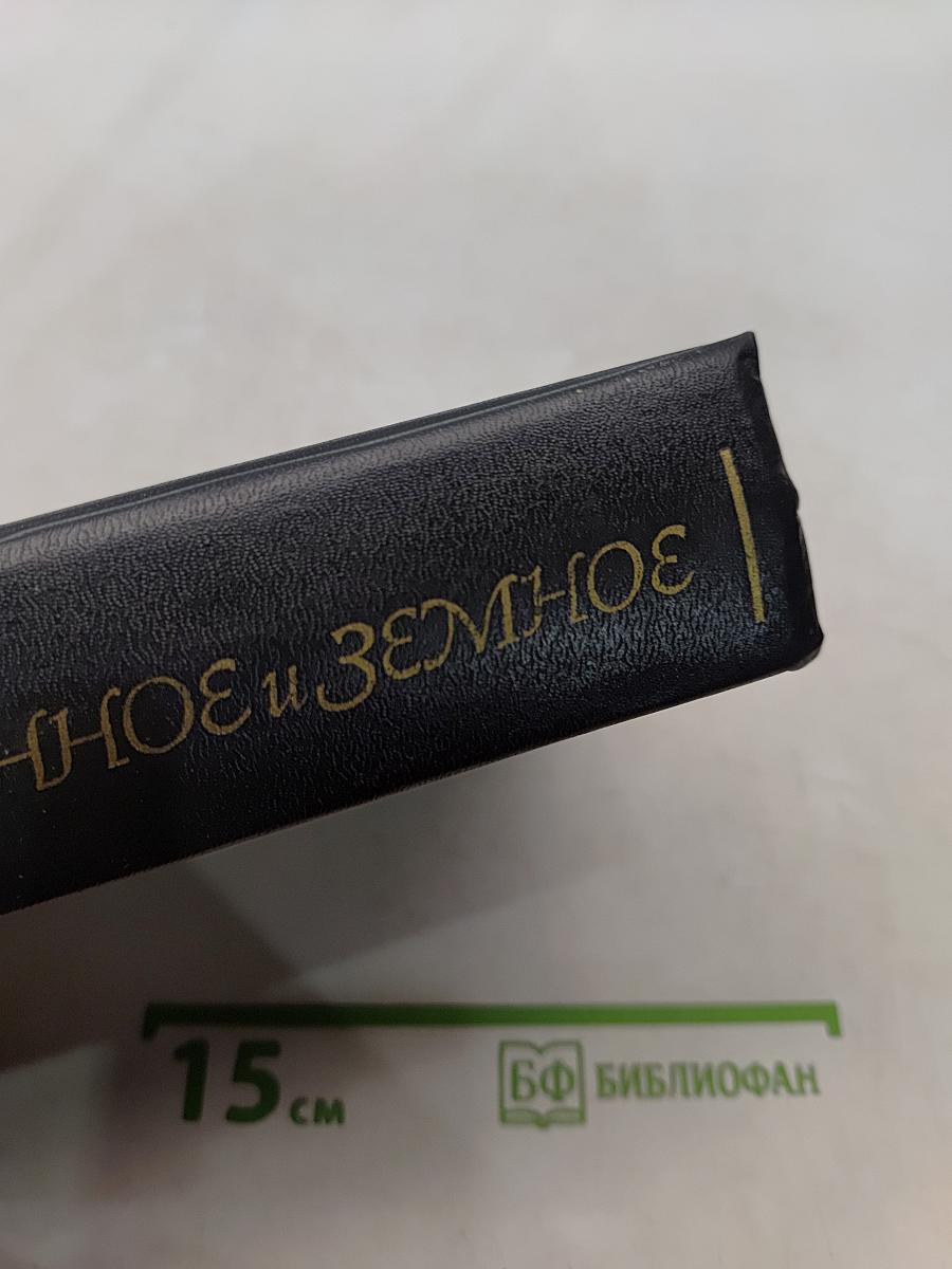 Возвышенное и земное