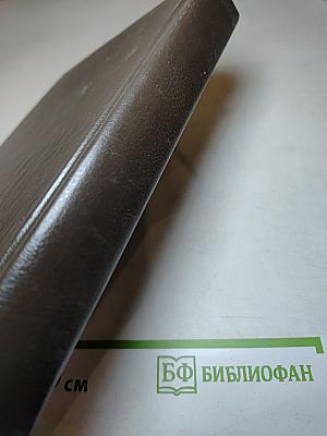 Бегущий