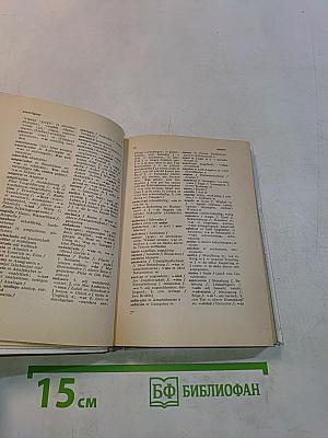 Taschenwörterbuch Spanisch-Deutsch