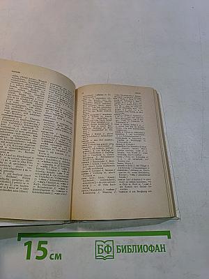 Taschenwörterbuch Spanisch-Deutsch