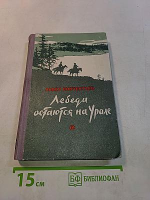 Лебеди остаются на Урале