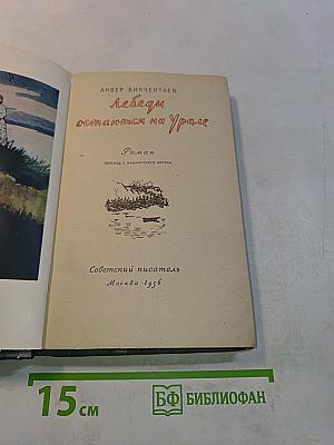 Лебеди остаются на Урале