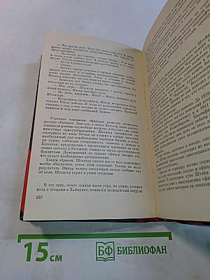 В Беловежской пуще