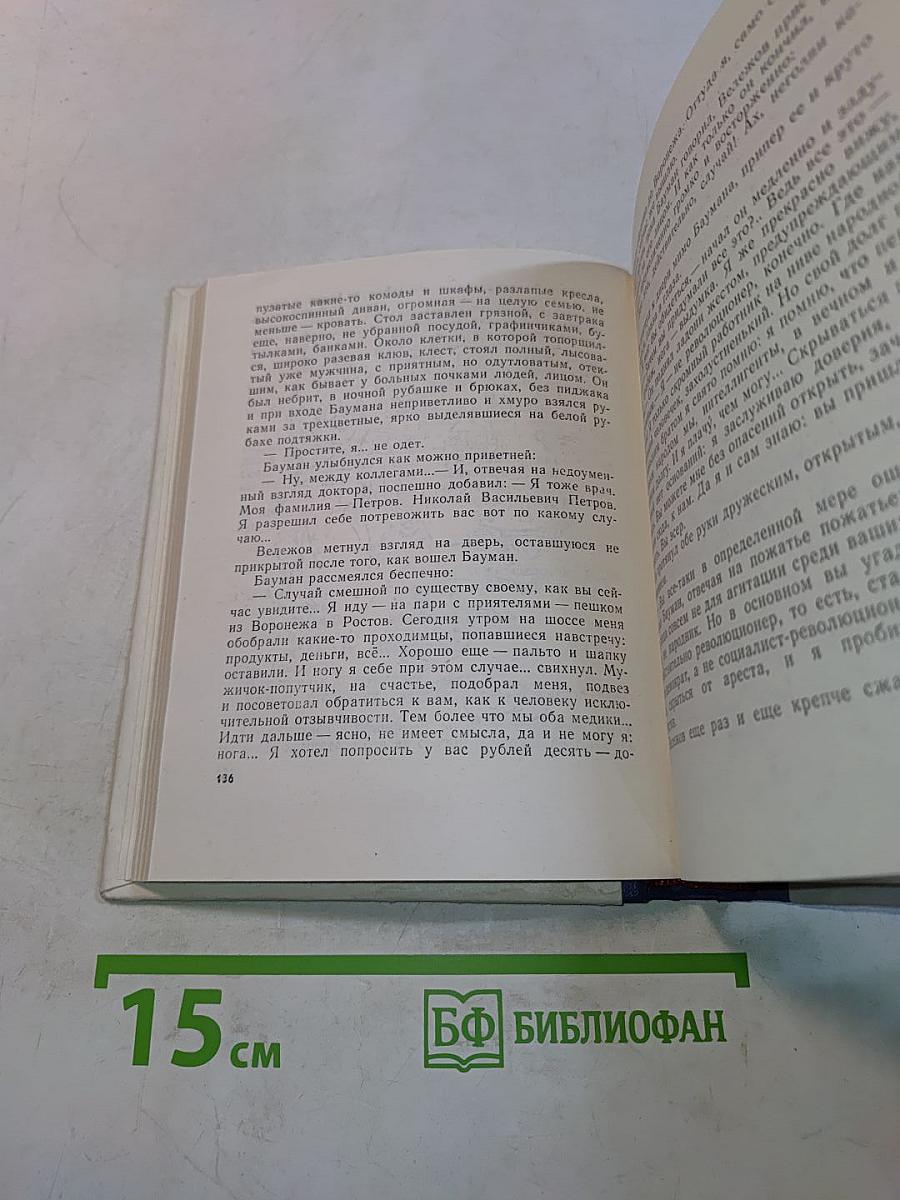 Грач — птица весенняя