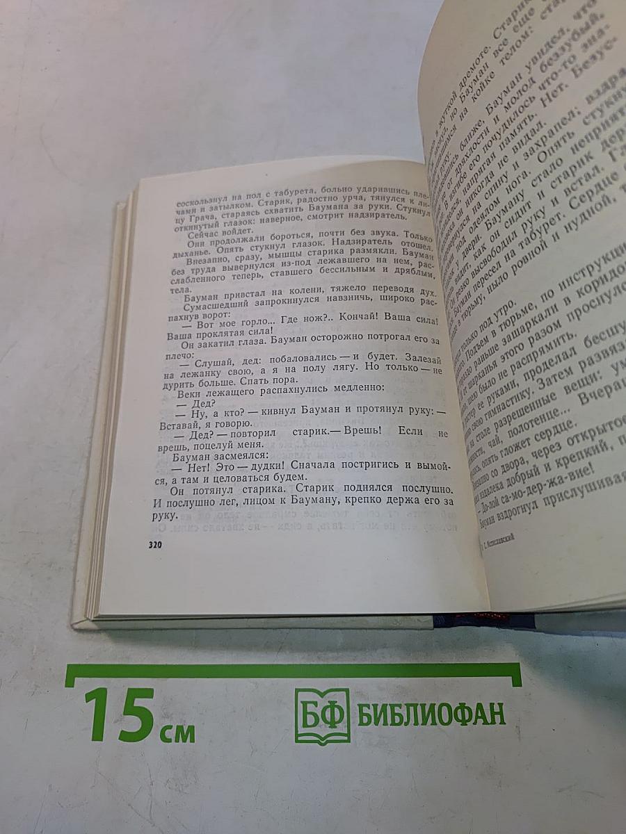 Грач — птица весенняя