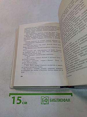 Грач — птица весенняя