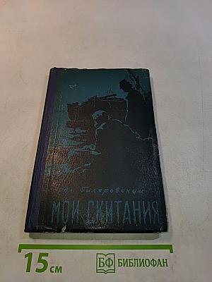 Мои скитания. Повесть бродяжной жизни