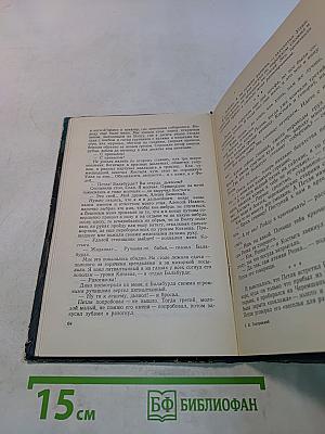 Мои скитания. Повесть бродяжной жизни