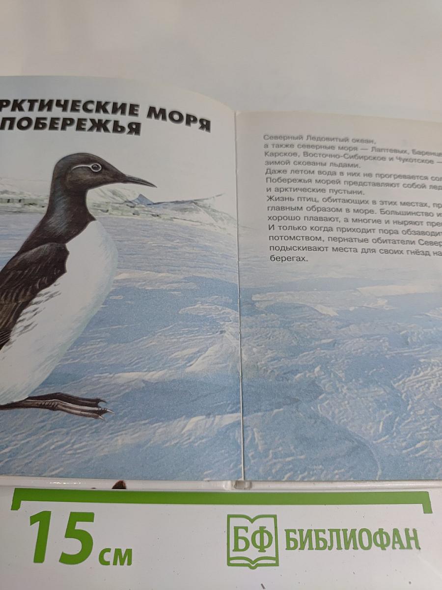 Мир вокруг нас. Птицы России и Европы