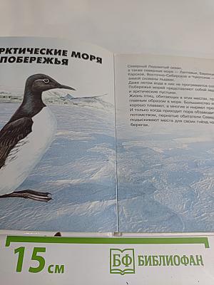 Мир вокруг нас. Птицы России и Европы