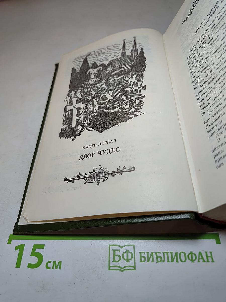 Анжелика: Путь в Версаль. Анжелика и король