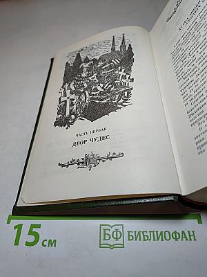 Анжелика: Путь в Версаль. Анжелика и король