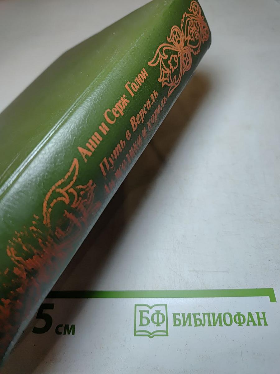 Анжелика: Путь в Версаль. Анжелика и король