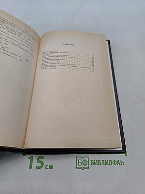 С Маяковским по Санкт-Петербургу