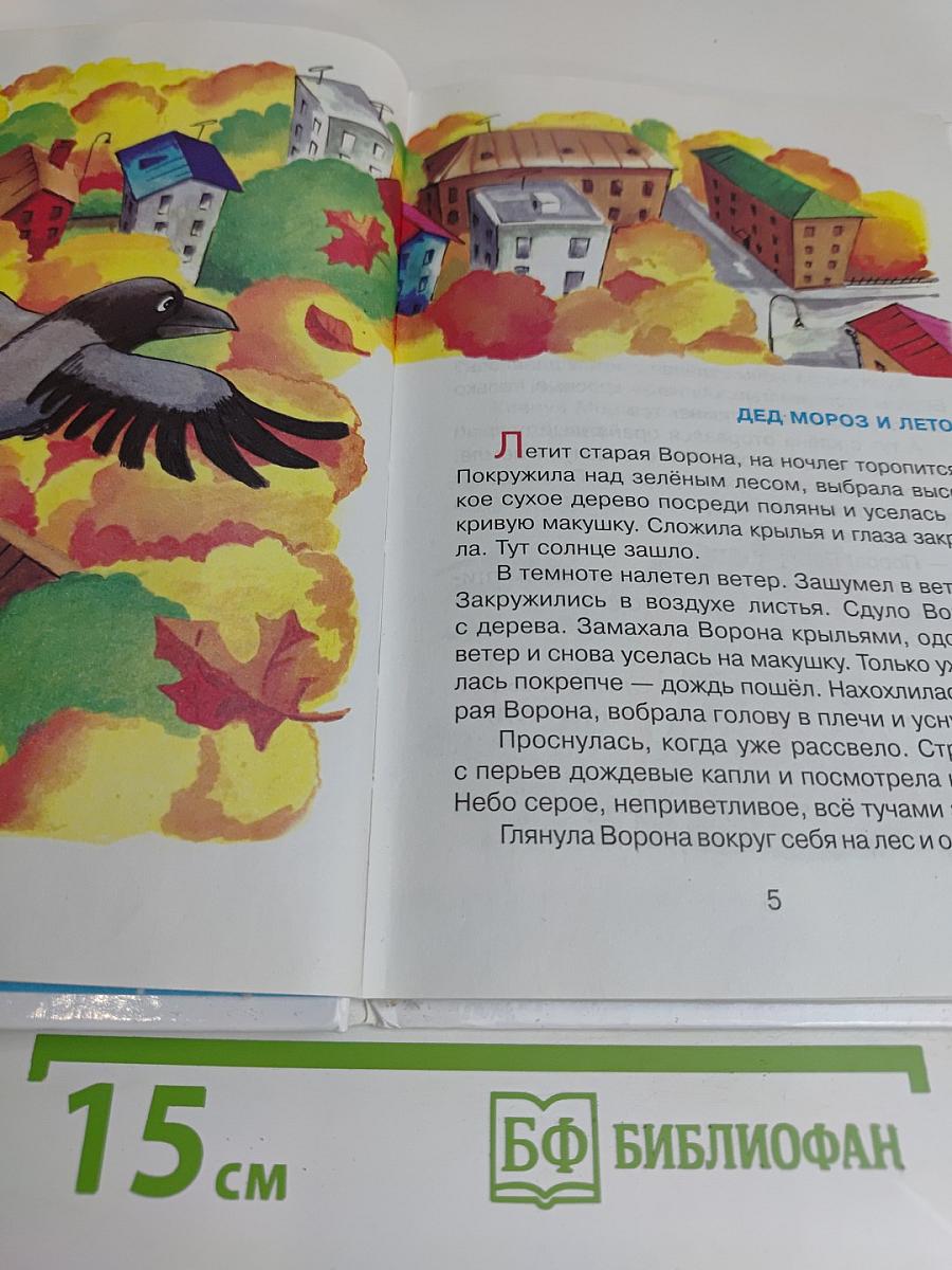 Дед Мороз и лето