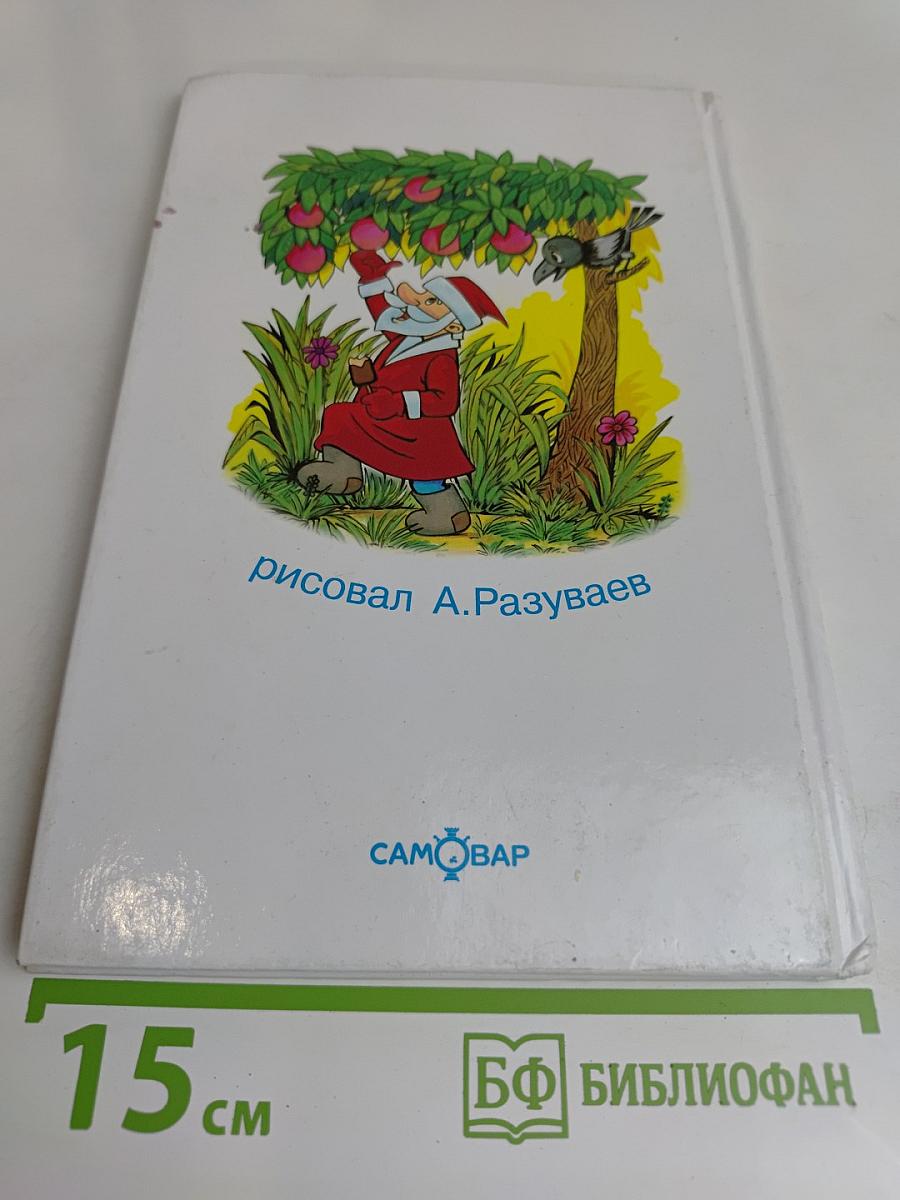 Дед Мороз и лето