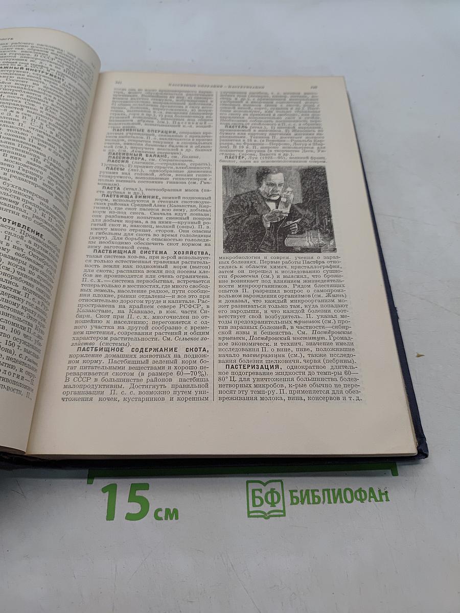 Малая Советская Энциклопедия. Том Шестой. Огневки — Пряжа