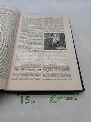 Малая Советская Энциклопедия. Том Шестой. Огневки — Пряжа