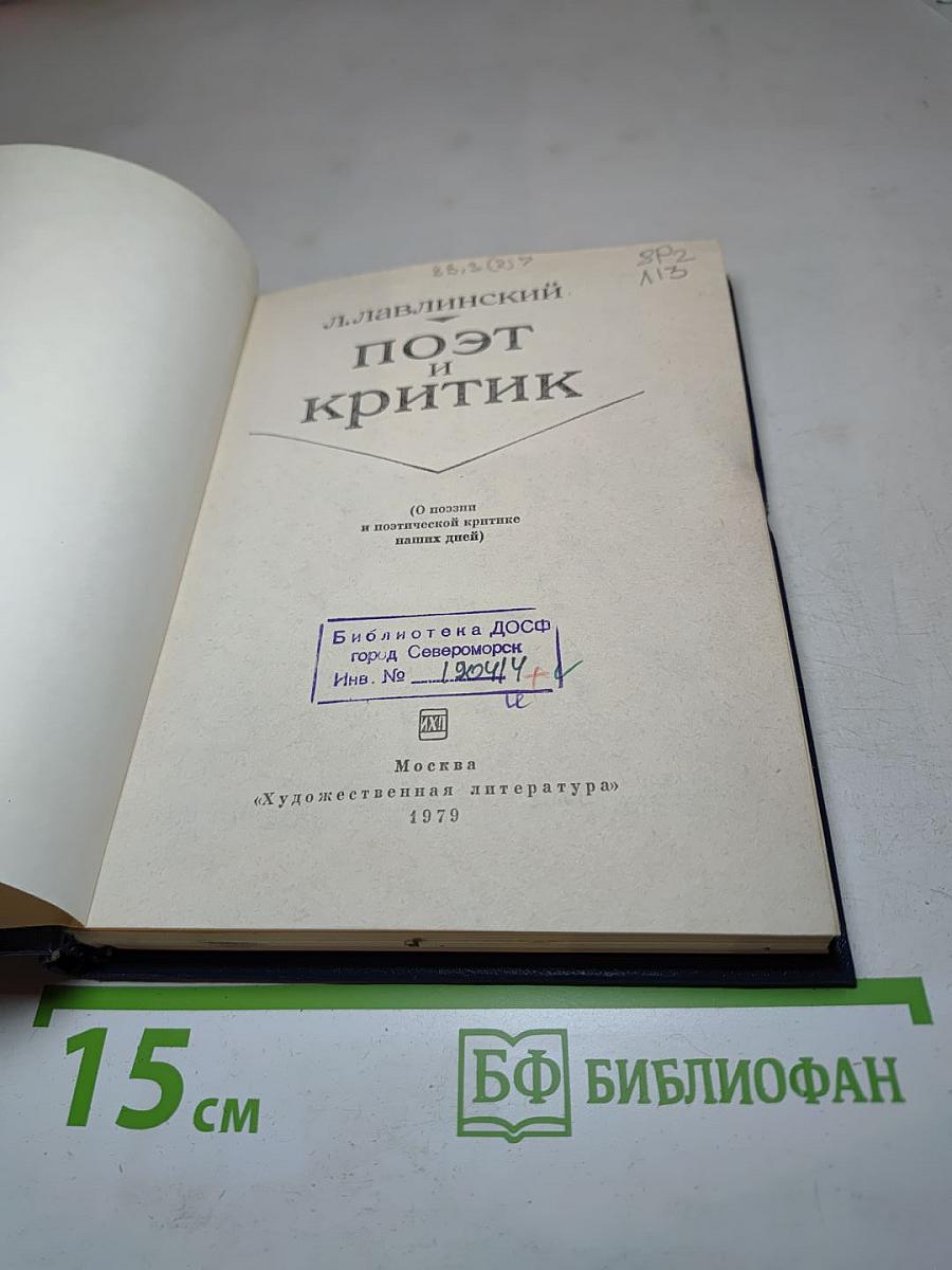 Поэт и критик