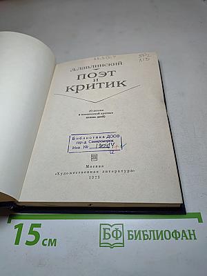 Поэт и критик