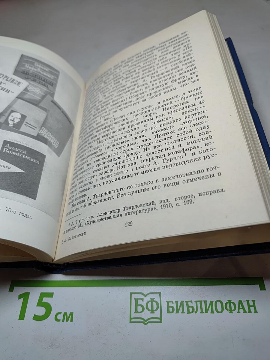 Поэт и критик