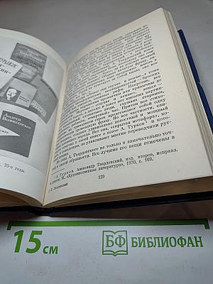 Поэт и критик