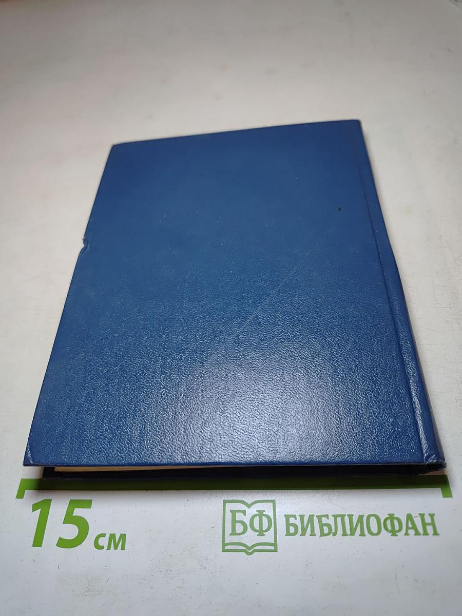 Поэт и критик