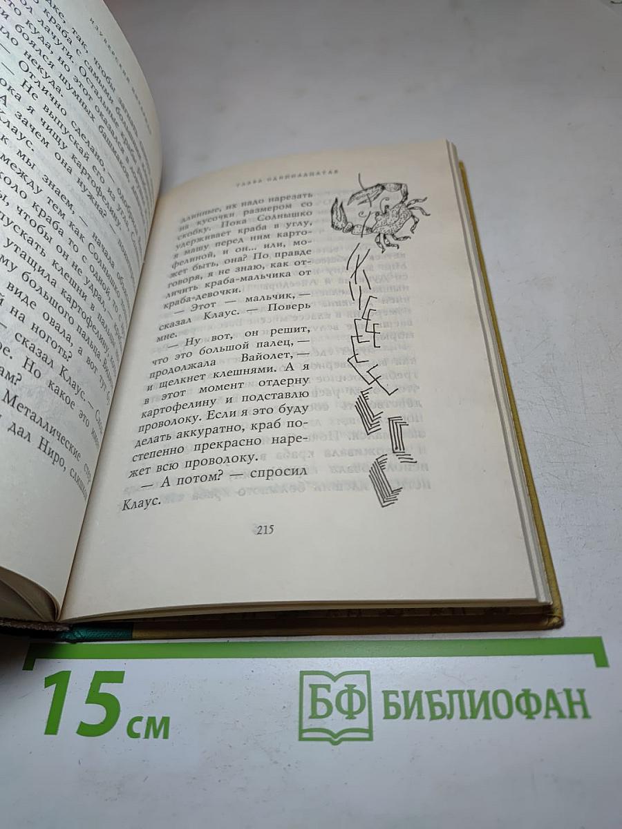 Тридцать три несчастья: Изуверский интернат
