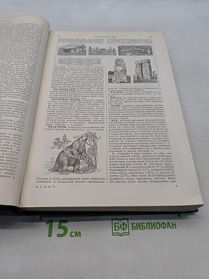 Малая Советская Энциклопедия. Том Пятый. Массикот-Огнев