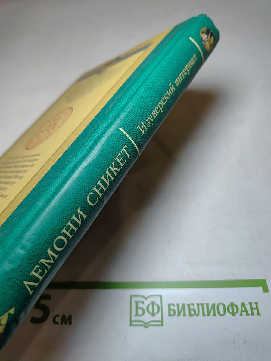 Тридцать три несчастья: Изуверский интернат