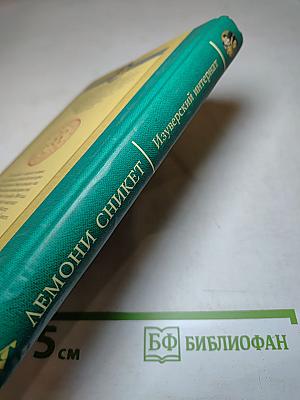 Тридцать три несчастья: Изуверский интернат