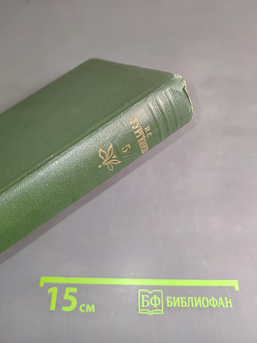 Собрание сочинений. Том пятый. Повести и рассказы 1844-1859 годов