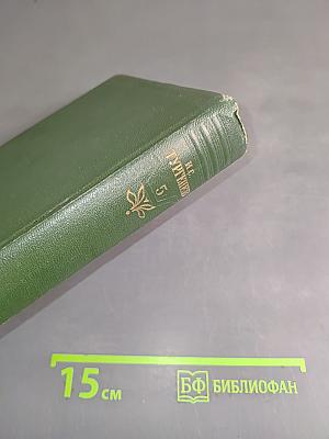 Собрание сочинений. Том пятый. Повести и рассказы 1844-1859 годов