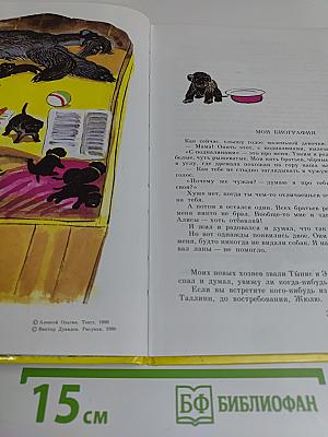 Здравствуй, я тебя знаю!