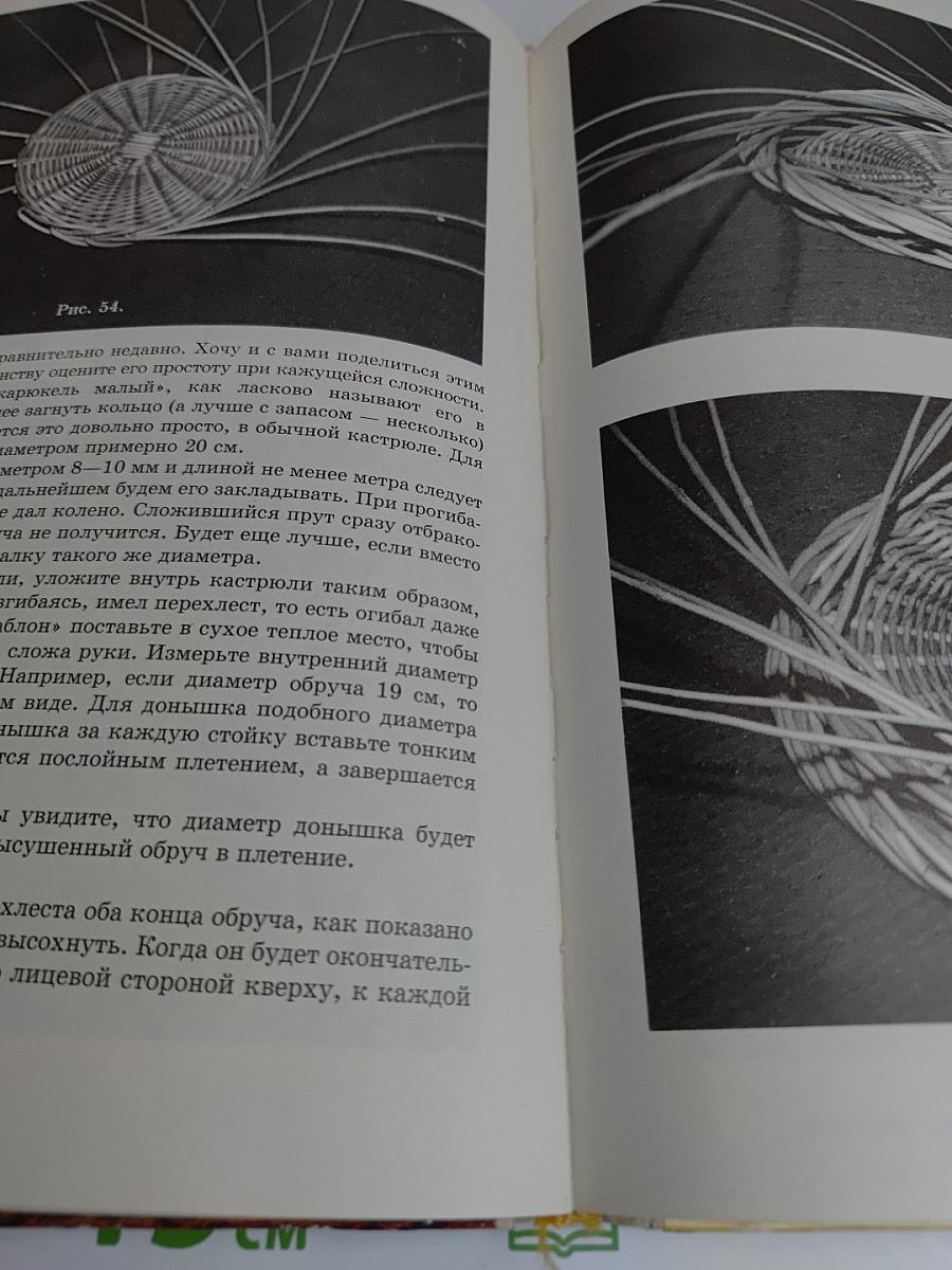 Петербургская лоза (Книга первая)