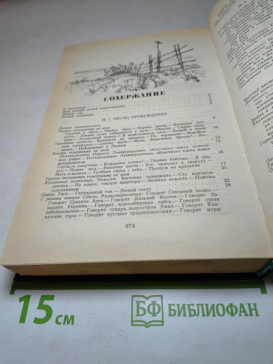 Лесная газета на каждый год