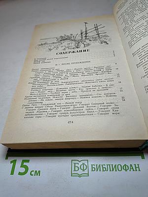 Лесная газета на каждый год