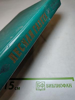 Лесная газета на каждый год