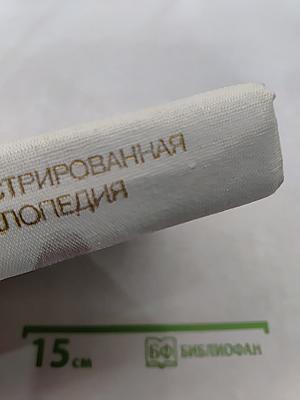 Иллюстрированная энциклопедия птиц