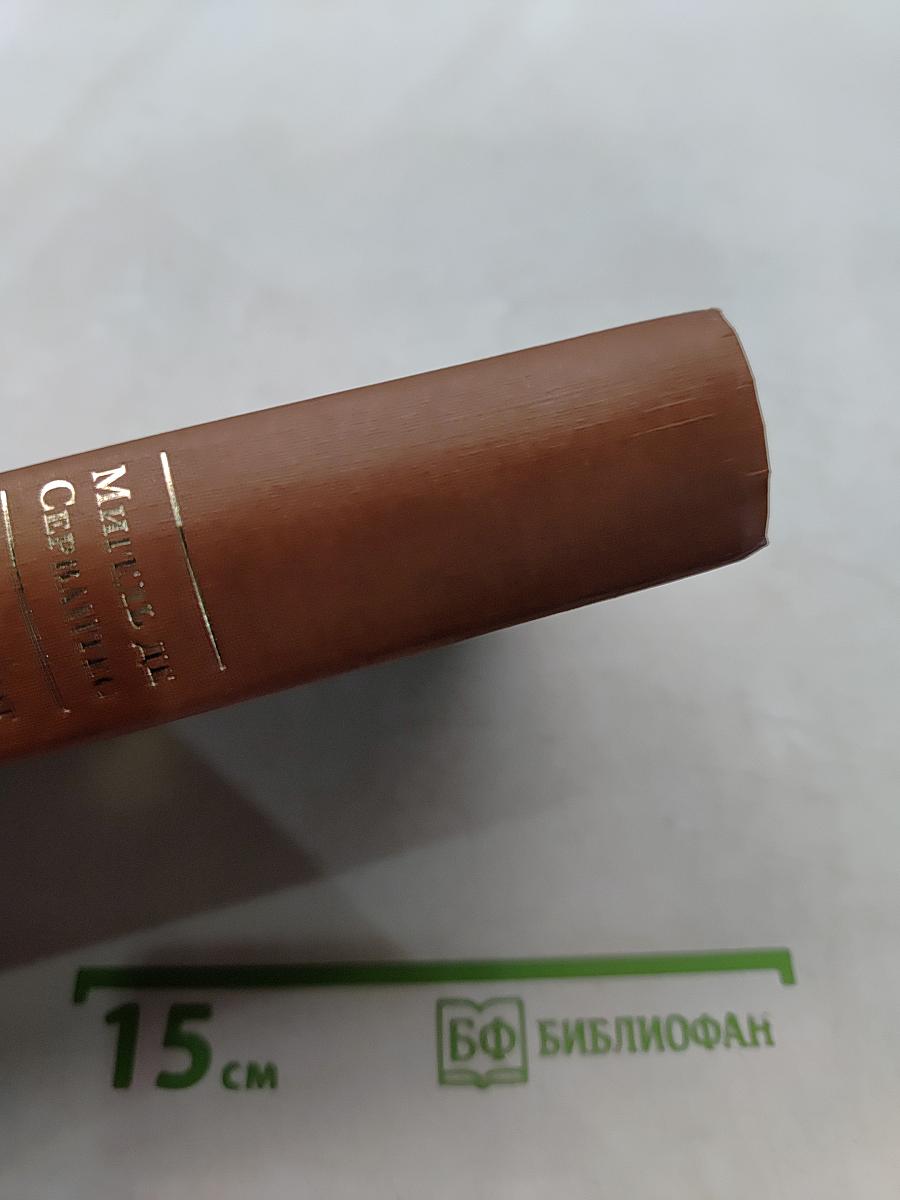 Дон Кихот Ламанчский. Вторая часть