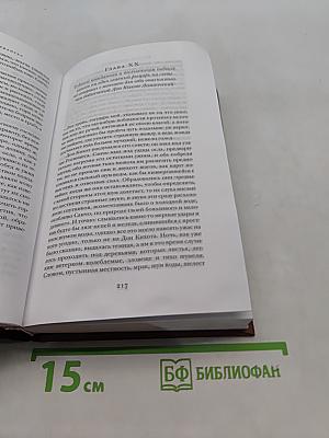 Хитроумный идальго Дон Кихот Ламанчский. Часть 1